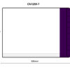 CN1259-*: A4 Folder with Reinforced Coloured Side Tab [75/bx] - Image 10